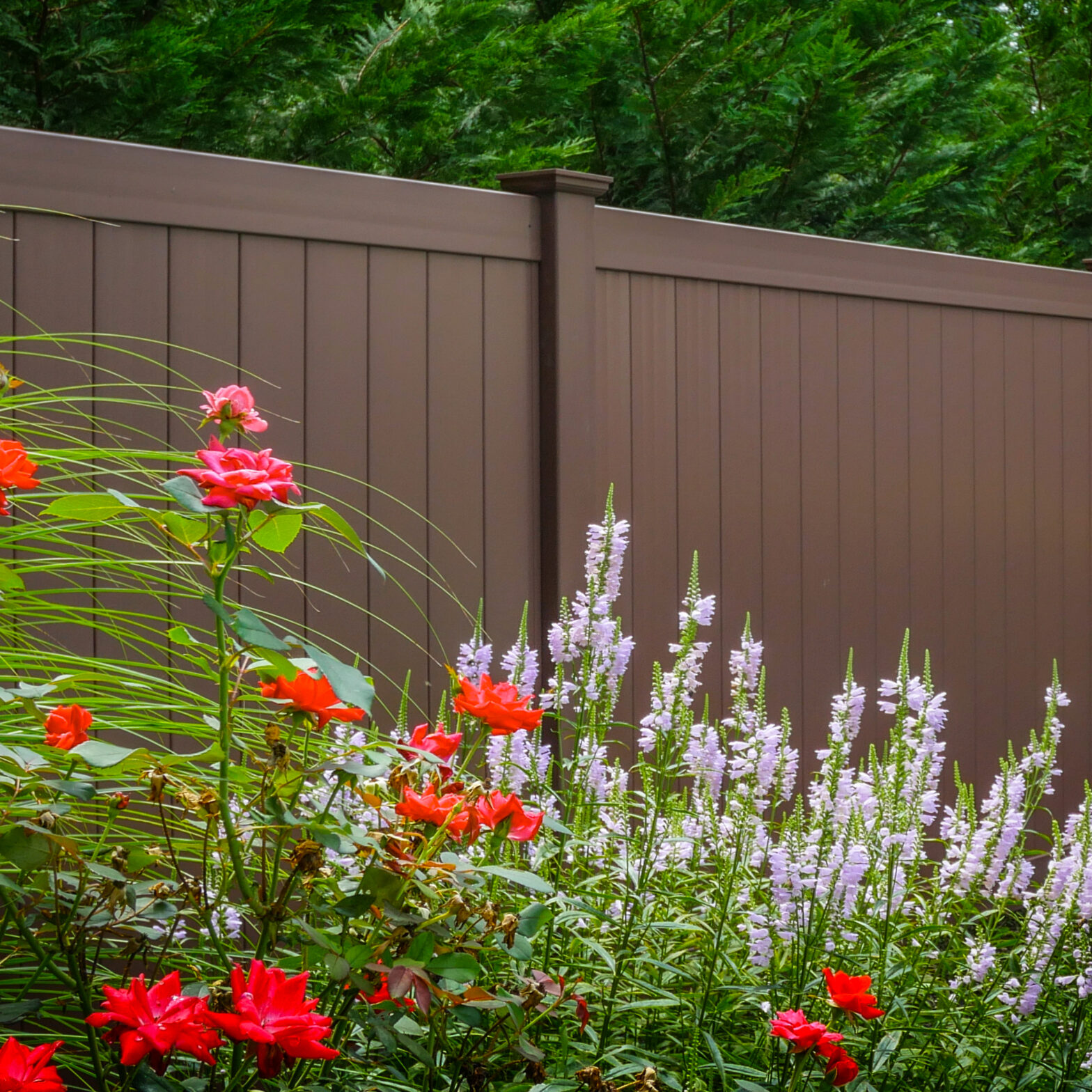 Photo of a New York residential fence