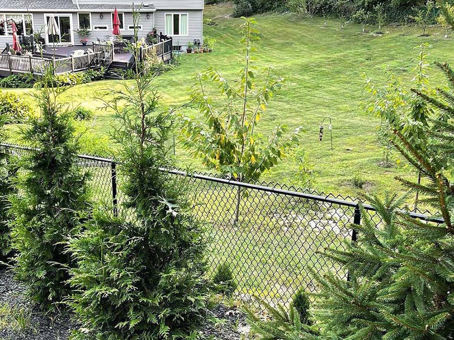 Residential Chain Link Fence - Westchester County